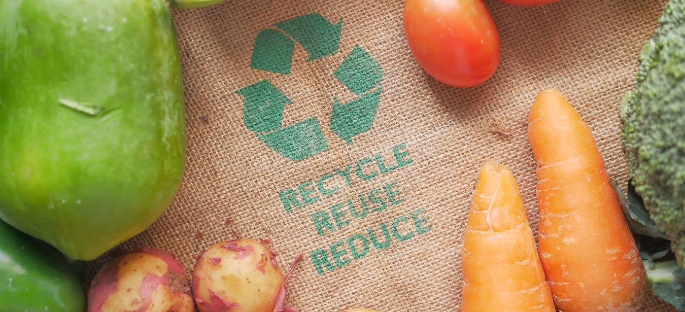 Sustainability